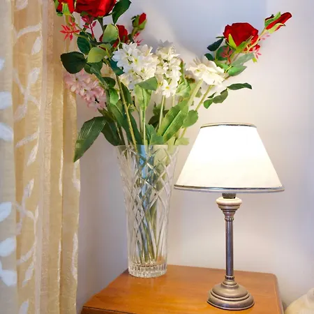 Vilă Arilia Agnítsini