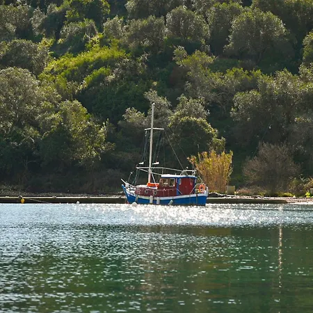 Arilia Agnitsini